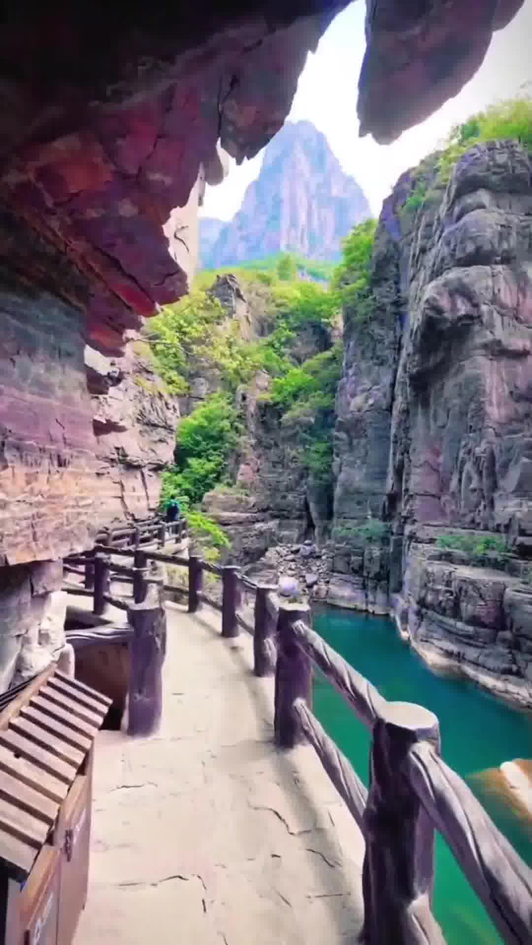 千年古韵与现代活力的河南新篇章